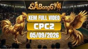Video Đá Gà CPC2 Ngày 5/9/2026 SABONG67