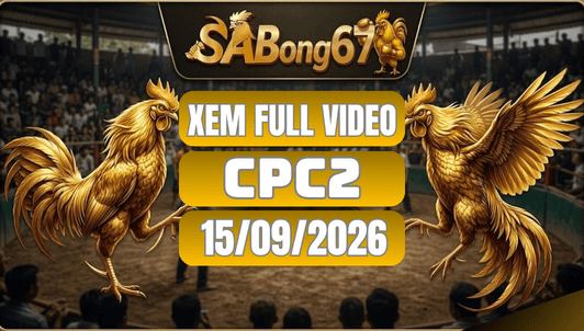 Xem Full Video Đá Gà CPC2 Ngày 15/09/2026 Trên SABONG67