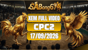 Xem Full Video Đá Gà CPC2 Ngày 17/09/2026 Trên SABONG67