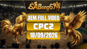 Xem Full Video Đá Gà CPC2 Ngày 18/09/2026 Trên SABONG67