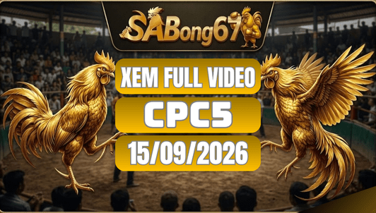 Xem Full Video Đá Gà CPC5 Ngày 15/09/2026 Trên SABONG67