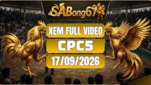 Xem Full Video Đá Gà CPC5 Ngày 17/09/2026 Trên SABONG67