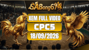 Xem Full Video Đá Gà CPC5 Ngày 18/09/2026 Trên SABONG67