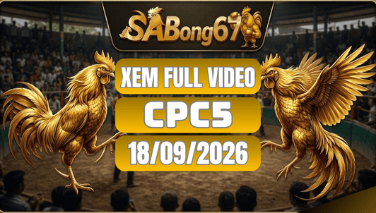 Xem Full Video Đá Gà CPC5 Ngày 18/09/2026 Trên SABONG67