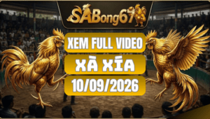 Xem Full Video Đá Gà Xà Xía Ngày 10/09/2026 Trên SABONG67